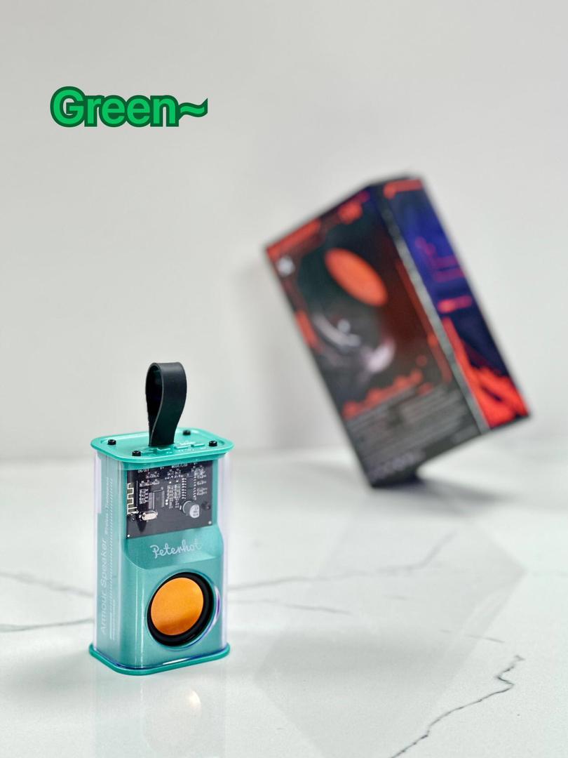 ARMOUR 5W portable Bluetooth speaker